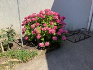 Vonkajšia záhrada v ubytovaní Ferienwohnung Casa Flora