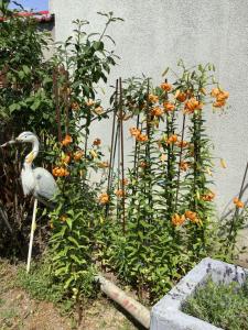 Vonkajšia záhrada v ubytovaní Ferienwohnung Casa Flora