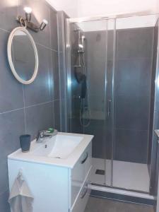 een badkamer met een douche, een wastafel en een spiegel bij Studio 400m de la mer in Lancieux