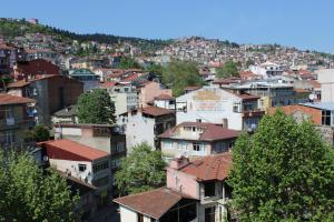 a view of a city with buildings and trees at Otel Sınal in Kocaeli
