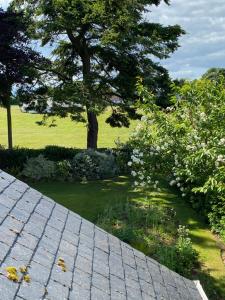 um jardim com uma árvore e um campo de relva em Glen Lyon Lodge Bed and Breakfast em Nairn