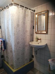 La salle de bains est pourvue d'un rideau de douche et d'un lavabo. dans l'établissement La casita linda, à Eberbach