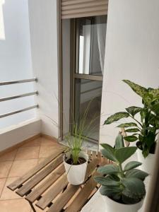 a balcony with potted plants and a wooden bench at Studio SvEt 39 in Mohammedia