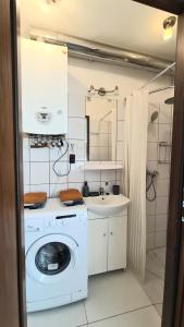 ein Badezimmer mit einer Waschmaschine und einem Waschbecken in der Unterkunft Jeziorna in Bielawa