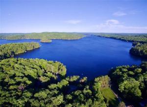 eine Luftansicht auf einen großen See im Wald in der Unterkunft Muskoka Manor in Dwight