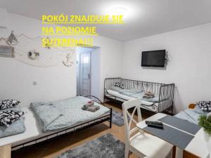 Zimmer mit 2 Betten, einem Tisch und einem TV in der Unterkunft Willa Andrus in Władysławowo