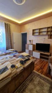 een grote slaapkamer met een groot bed en een flatscreen-tv bij Bel Apartman in Subotica