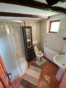 ein Bad mit einer Dusche, einem WC und einem Waschbecken in der Unterkunft Cabana Bradului in Breaza