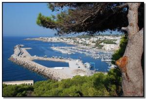 a view of a harbor with boats in the water at La payara di nonna nina in Tiggiano +15 photos