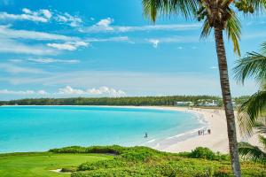 a beach with a palm tree and people on it at Grand Isle Resort & Residences in Farmerʼs Hill