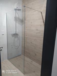 a shower with a glass door in a bathroom at Nowoczesny Apartament Królowej Jadwigi in Radom