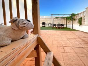 Mascotas con sus dueños en KS Toyo Golf - Kaleria Suites