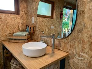 a bathroom with a sink and a mirror at La Ville Es Renais - ferme et maison d'hôtes insolite in Erquy