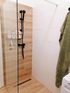 La salle de bains est pourvue d'une douche avec une porte en verre. dans l'établissement Shine Apartman, à Szentgotthárd