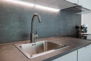ノイシュティフト・イム・シュトゥーバイタールにあるBergmadl Apartmentsの台所のステンレス製シンク +101枚の写真