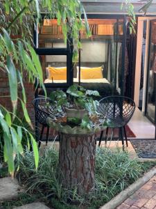 a tree stump with a table and chairs on it at The Secret Garden Hideaway in Mossel Bay
