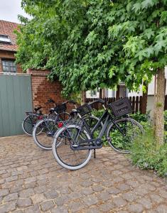 een groep fietsen geparkeerd naast een boom bij De Hofstee in Maastricht