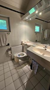 a bathroom with a toilet and a sink and a mirror at Landhaus Wald und See Nr. 35 in Biersdorf