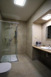 uma casa de banho com um chuveiro, um WC e um lavatório. em Apartmány FELSENBURG Staré Splavy em Doksy