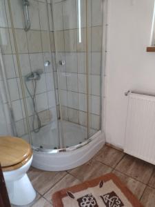 a bathroom with a shower and a toilet at Agroturystyka in Kosarzyn