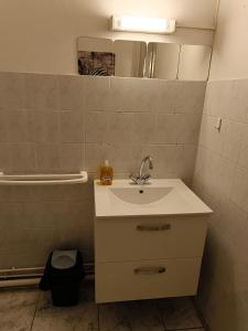 une salle de bains avec lavabo et baignoire dans l'établissement Couturier lovely appartement proche centre ville, à Reims