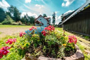 Vonkajšia záhrada v ubytovaní Ranczo w Rabe