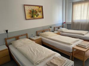 a room with two beds and a picture on the wall at Pension Messe in Feldkirchen