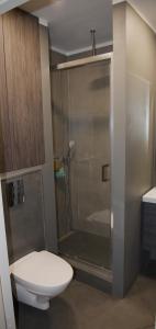 Mucenieku Apartamenti في كولديغا: حمام مع مرحاض ودش زجاجي