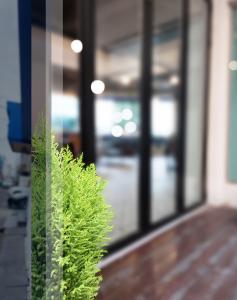 a green bush sitting in front of a window at BLAU Korean Local Experience Stay in Gyeongju