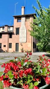 un montón de flores rojas delante de un edificio en Regina dei fiori, en Marostica