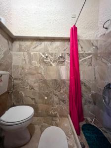 a bathroom with a toilet and a pink shower curtain at Pension Maria in Arachova