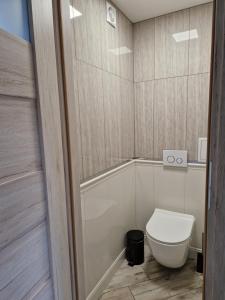 a bathroom with a toilet and a sink at Apartament Karolina ul. Lipowa 2/29, 58-530 Kowary in Kowary