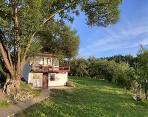 uma casa num campo com uma árvore em Casa de sub Salcie em Curtea de Argeş