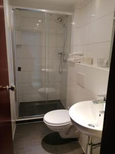 a bathroom with a shower and a toilet and a sink at Meerbuscher Hof in Meerbusch