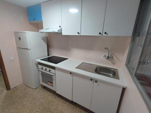 Kuchyň nebo kuchyňský kout v ubytování Edificio Entremares