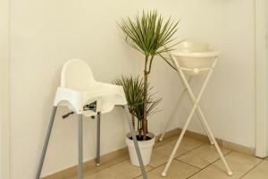 einen weißen Stuhl und eine Topfpflanze in einem Raum in der Unterkunft Ferienwohnung Airone Nero in Gerolstein