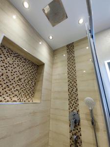 a bathroom with a shower with a shower head at Villa Višnja in Brela