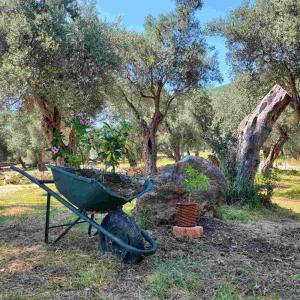 a wheelbarrow filled with dirt sitting next to some trees at Coratina Cottage in Ulcinj