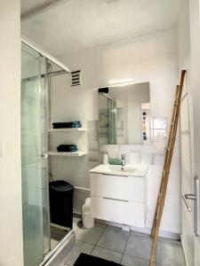 La salle de bains est pourvue d'un lavabo et d'une douche en verre. dans l'établissement F2 Résidence LE 25 ex PANORAMA, à Les Trois-Îlets