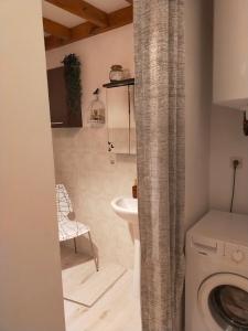 y baño con lavadora y lavamanos. en Maison au coeur du Sancy à la Tour d'Auvergne, en La Tour-dʼAuvergne
