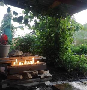 een vuurplaats in een tuin met een pergola bij Le vieux poulailler édifice patrimonial New-Richmond Gaspesie in New Richmond