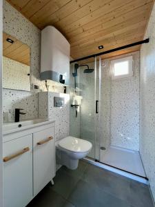 a bathroom with a toilet and a sink and a shower at Domki Baltyk in Dąbki