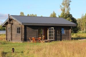 uma cabana com um cão à frente. em Dundaga Axe & Archery guesthouse em Dundaga