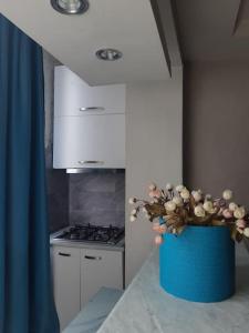 een keuken met een blauwe pot met een plant erin bij Lovely_apartment in Tbilisi City
