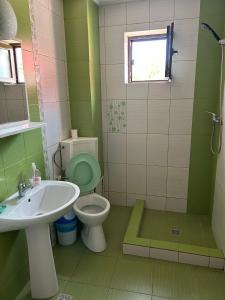 ママイア・ノルドにあるVila Mariの緑豊かなバスルーム(トイレ、シンク付)