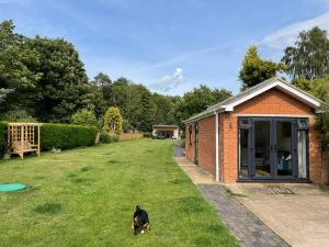 a dog standing in the grass next to a building at Garden Annexe in Kinsham