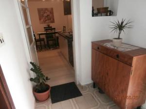 a hallway leading to a kitchen with two potted plants at Apartments Paradiso in Samobor +11 photos