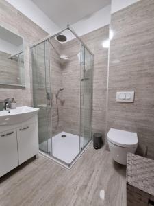 a bathroom with a shower and a toilet and a sink at Apartmani Toni in Drniš