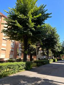 a large tree in front of a brick building at Soggiornare sul Naviglio in Milan