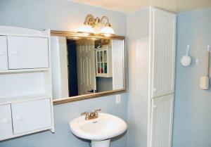 uma casa de banho com um lavatório e um espelho em Hidden Treasure in the Heart of Port Stanley em Port Stanley